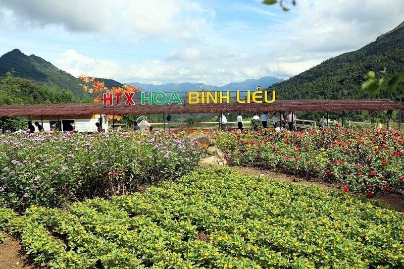 Quảng Ninh: Sức hút du lịch nông nghiệp - Ảnh 2.
