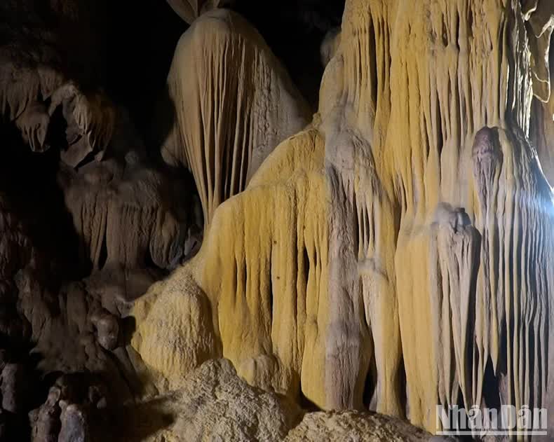 Hiệp hội Hang động Hoàng gia Anh hỗ trợ thám hiểm khảo sát hang động Vân Tiên ở Quảng Trị - Ảnh 3.