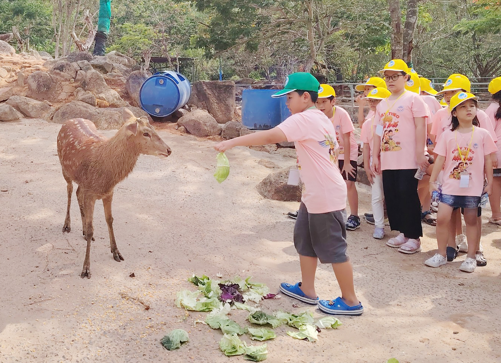 Bà Rịa - Vũng Tàu: Doanh thu du lịch đạt 7.047 tỷ đồng - Ảnh 1.