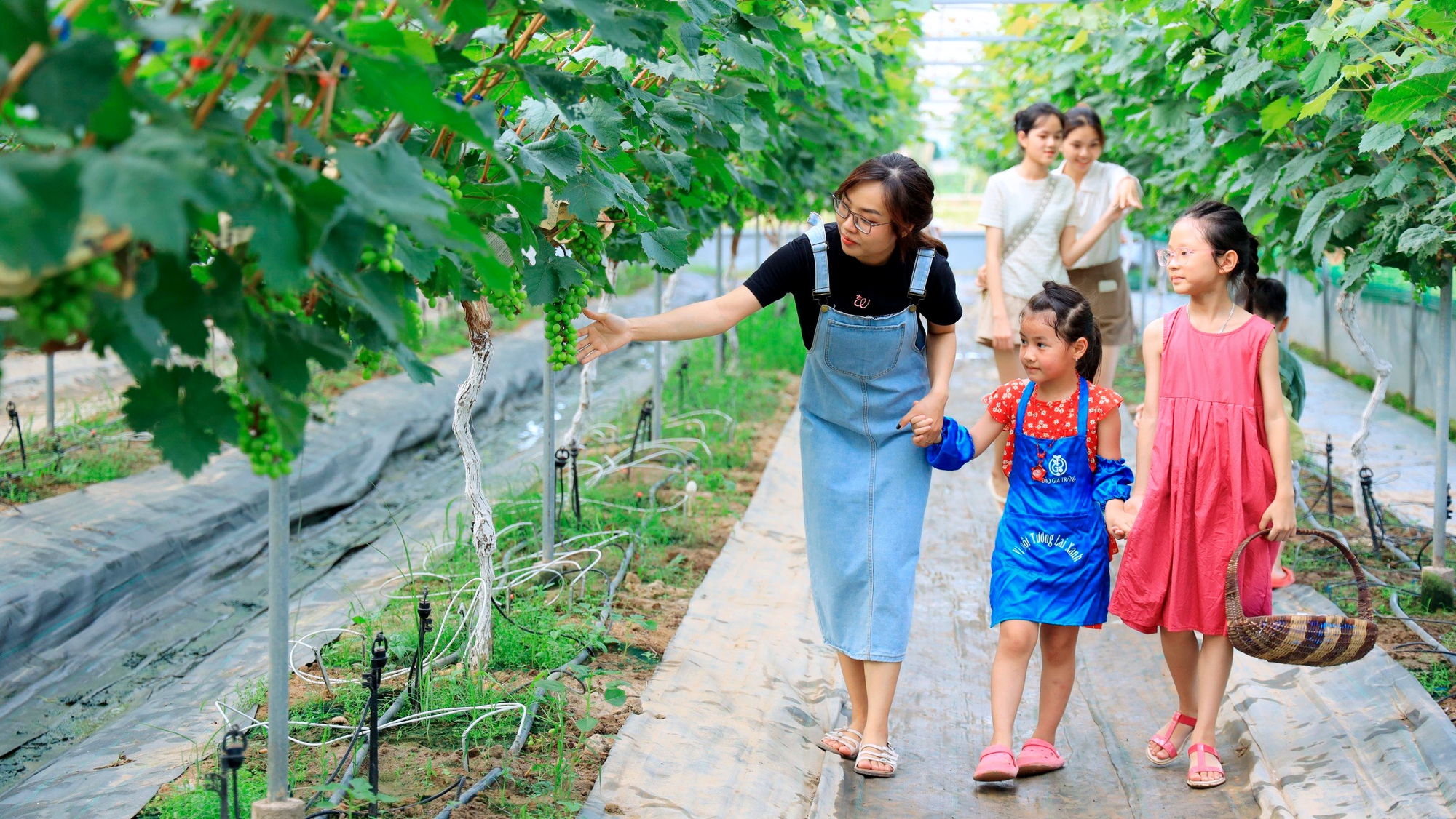 Vĩnh Phúc: Thúc đẩy các ngành công nghiệp văn hóa phát triển - Ảnh 2.