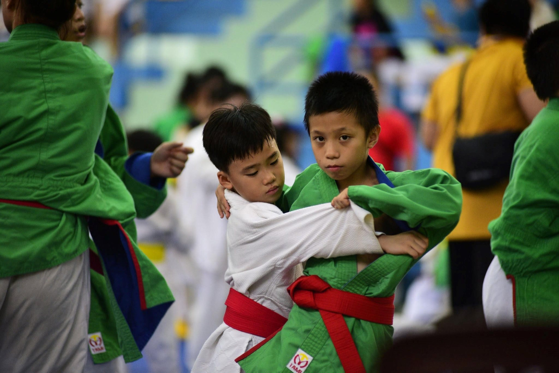 Giải vô địch trẻ Kurash - tiềm năng Bình Thuận - Ảnh 2.