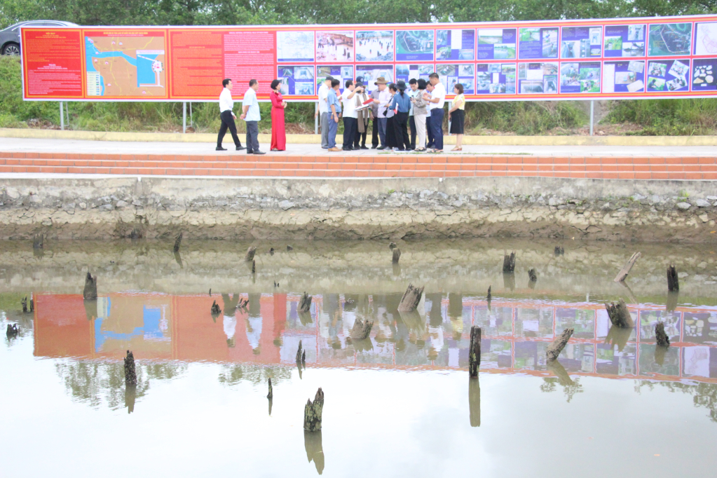 Đoàn chuyên gia của UNESCO khảo sát, thẩm định thực địa Bãi cọc Bạch Đằng - Ảnh 2.