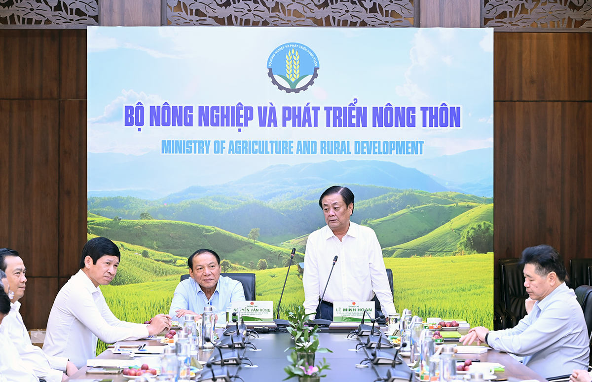 Du lịch nông thôn: Lợi ích kép và tiềm năng phát triển tại TP.HCM - Ảnh 1.