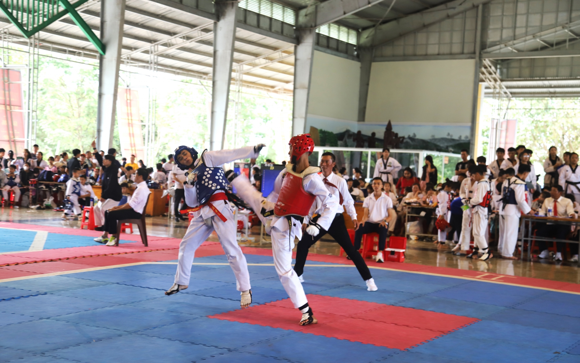 580 VĐV tranh tài tại Giải Taekwondo các CLB tỉnh Lâm Đồng năm 2024 - Ảnh 1.