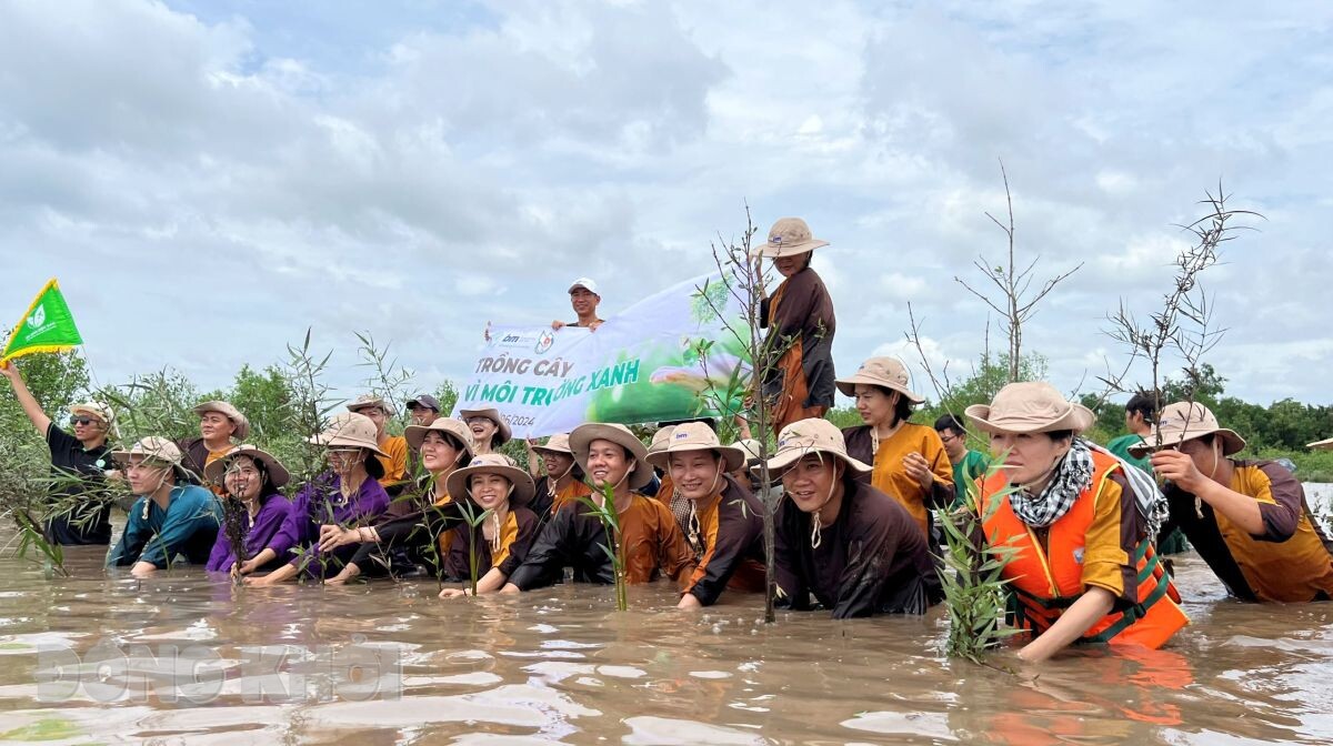 Bến Tre: Phát triển du lịch xanh gắn với bảo vệ môi trường - Ảnh 1.