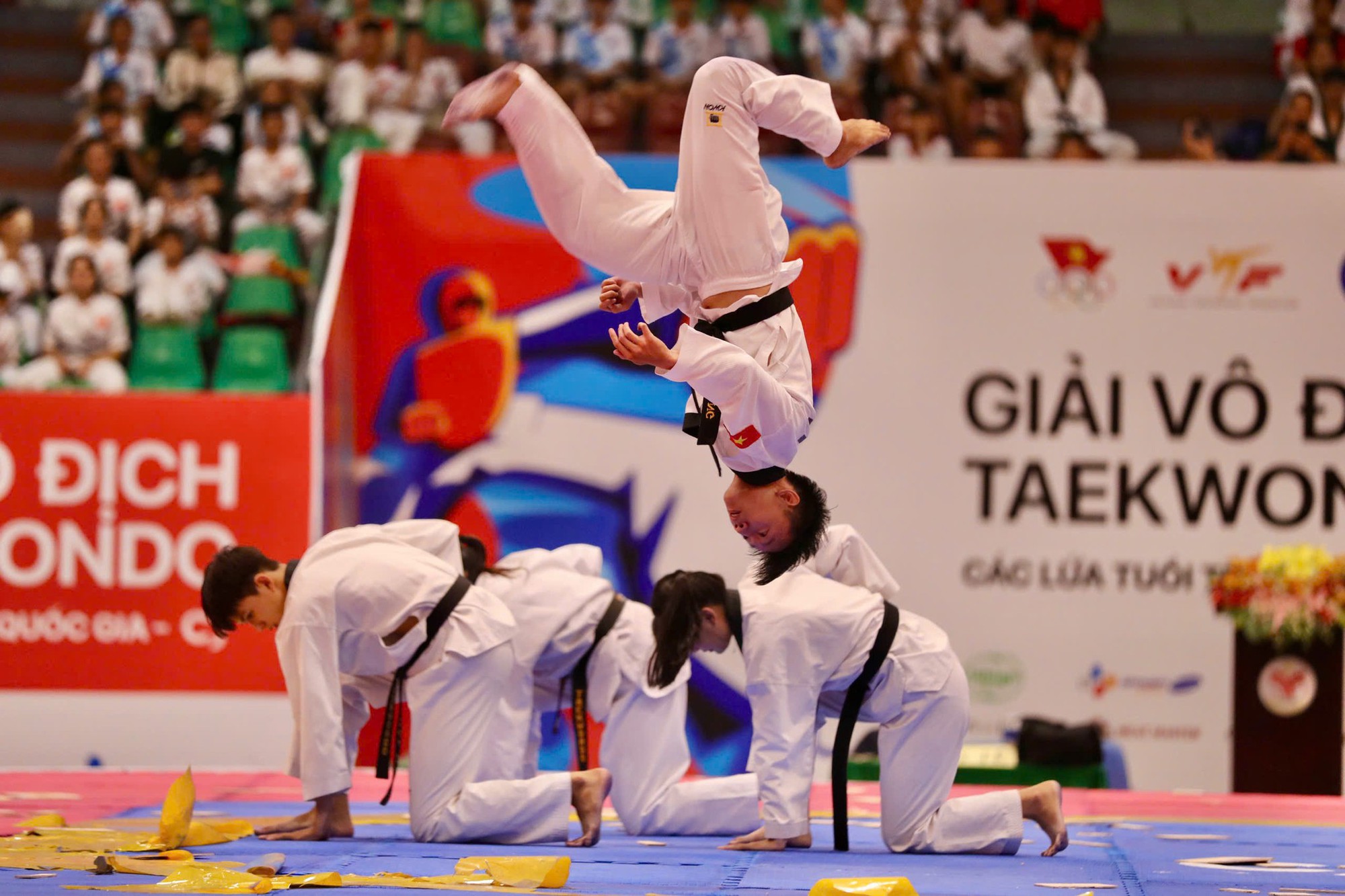 Giải Vô địch các lứa tuổi Taekwondo quốc gia 2024: TP.HCM nhất toàn đoàn - Ảnh 1.