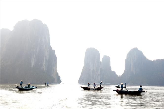 Quảng Ninh với chiến dịch '3 ngày làm sạch Vịnh Hạ Long' - Ảnh 3.