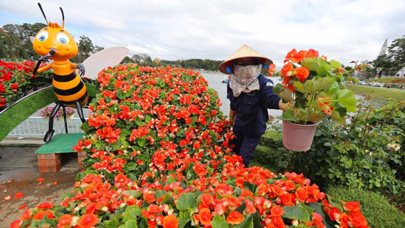 Lâm Đồng: Khởi động Festival Hoa Đà Lạt lần thứ X - năm 2024 - Ảnh 3.