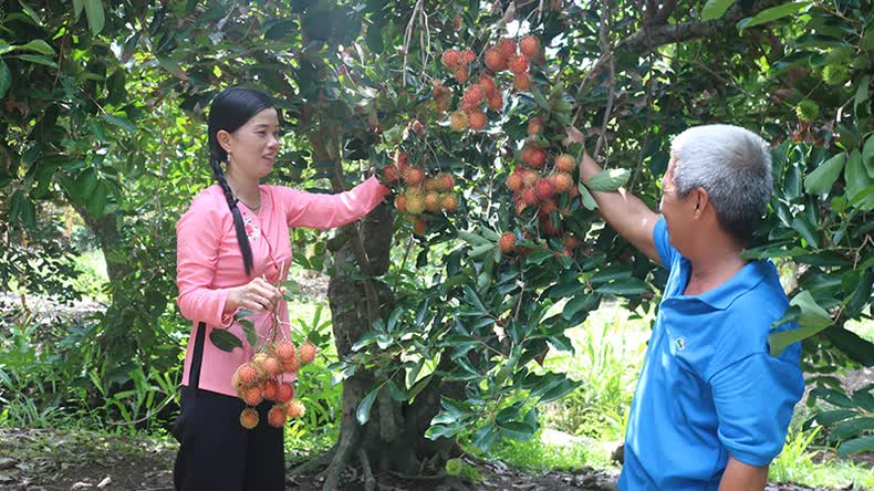 Trà Vinh phát huy giá trị di sản gắn với phát triển du lịch - Ảnh 3.