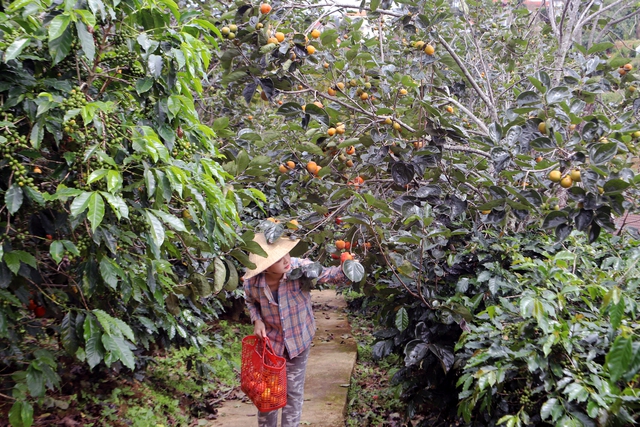 Lâm Đồng đẩy mạnh công tác giảm nghèo bền vững gắn với phát triển văn hóa, du lịch - Ảnh 2. Lâm Đồng đẩy mạnh công tác giảm nghèo bền vững gắn với phát triển văn hóa, du lịch - Ảnh 2.