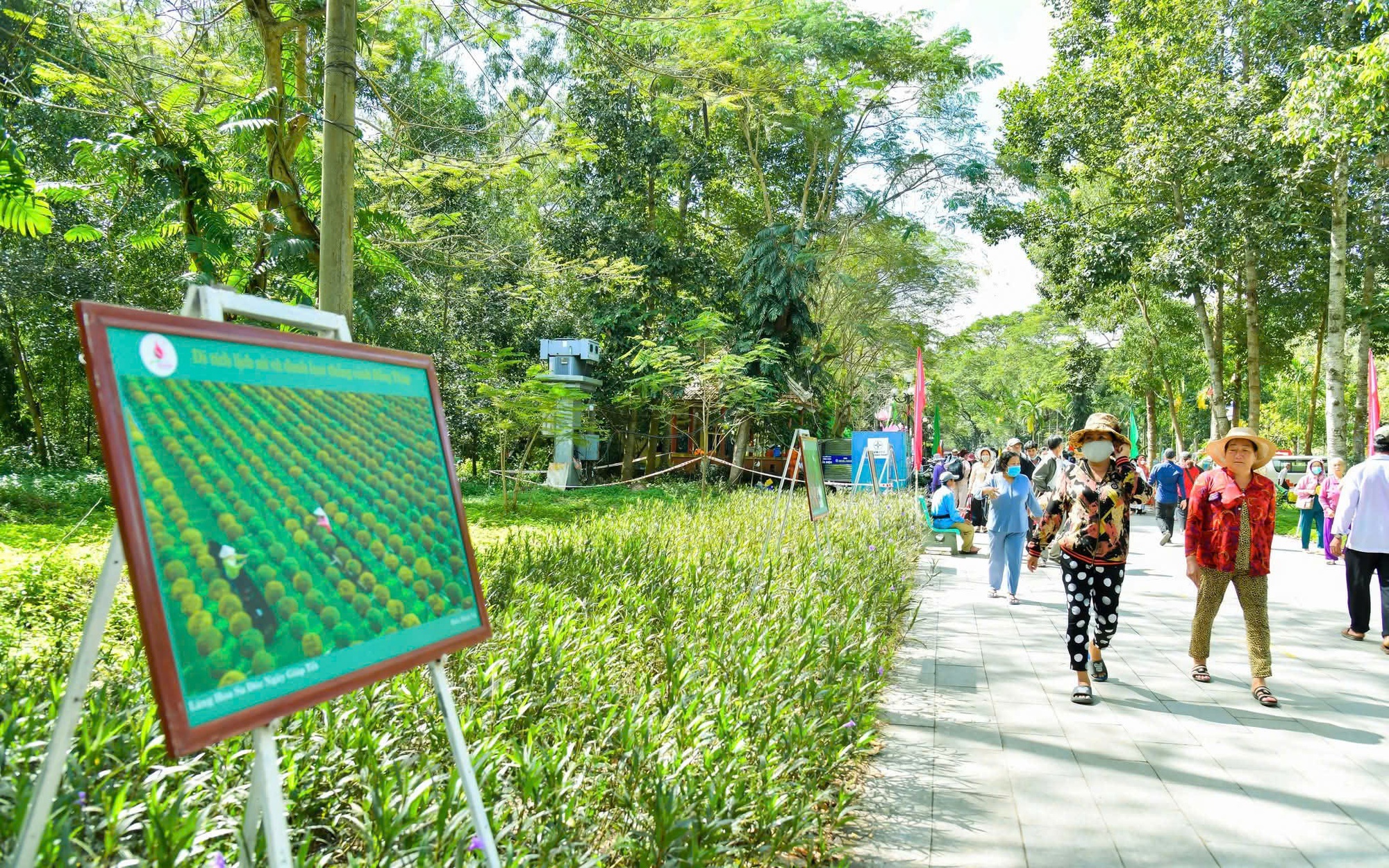 Đồng Tháp triển khai đồng bộ và hiệu quả pháp luật bảo hộ về quyền tác giả, quyền liên quan