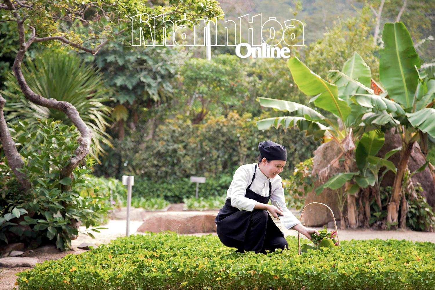 Khánh Hòa tiên phong phát triển du lịch xanh - Ảnh 2.
