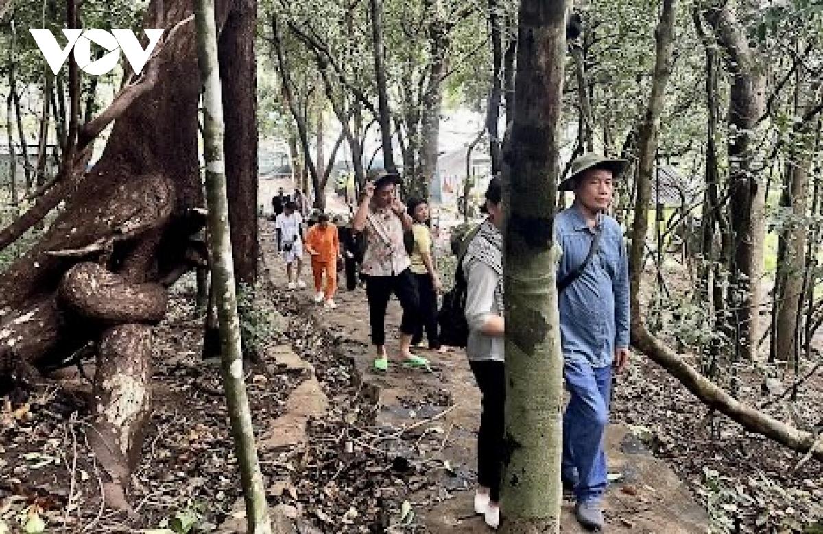 Khai thác &quot;mỏ vàng&quot; du lịch y tế ở khu vực phía Đông TP.HCM - Ảnh 3.