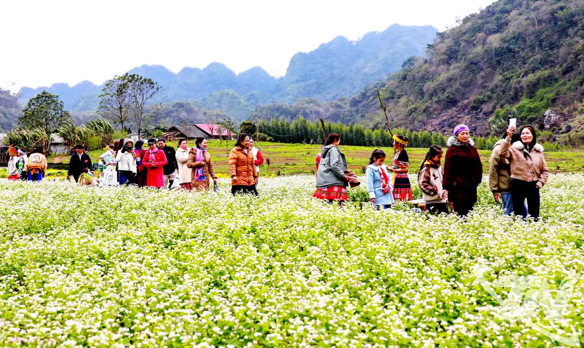 Thái Nguyên khai thác tiềm năng du lịch xanh - Ảnh 3. Thái Nguyên khai thác tiềm năng du lịch xanh - Ảnh 3.