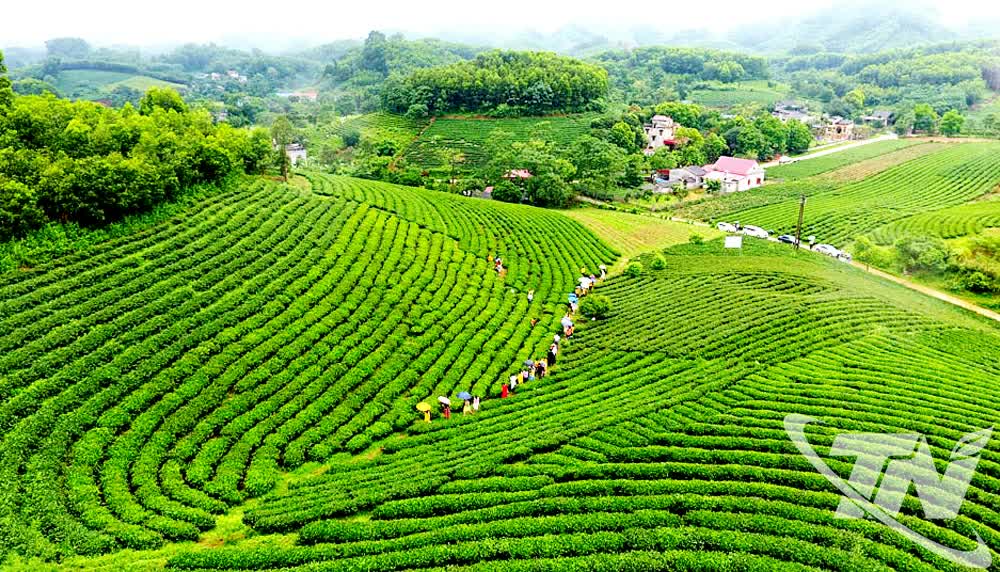 Thái Nguyên khai thác tiềm năng du lịch xanh - Ảnh 6. Thái Nguyên khai thác tiềm năng du lịch xanh - Ảnh 6.