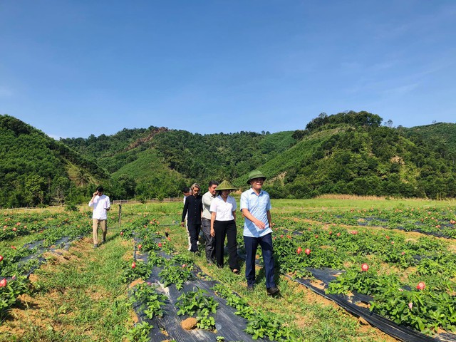 Học hỏi kinh nghiệm quốc tế về các chiến lược giảm nghèo bền vững - Ảnh 1. Học hỏi kinh nghiệm quốc tế về các chiến lược giảm nghèo bền vững - Ảnh 1.