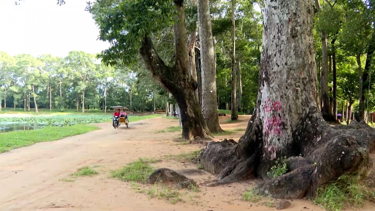 Vinh Long អភិវឌ្ឍន៍ទេសចរណ៍ ផ្សារភ្ជាប់នឹងការរក្សាអត្តសញ្ញាណវប្បធម៌ខ្មែរ - រូបថត ៣. Vĩnh Long phát triển du lịch gắn với bảo tồn bản sắc văn hóa Khmer - Ảnh 3.