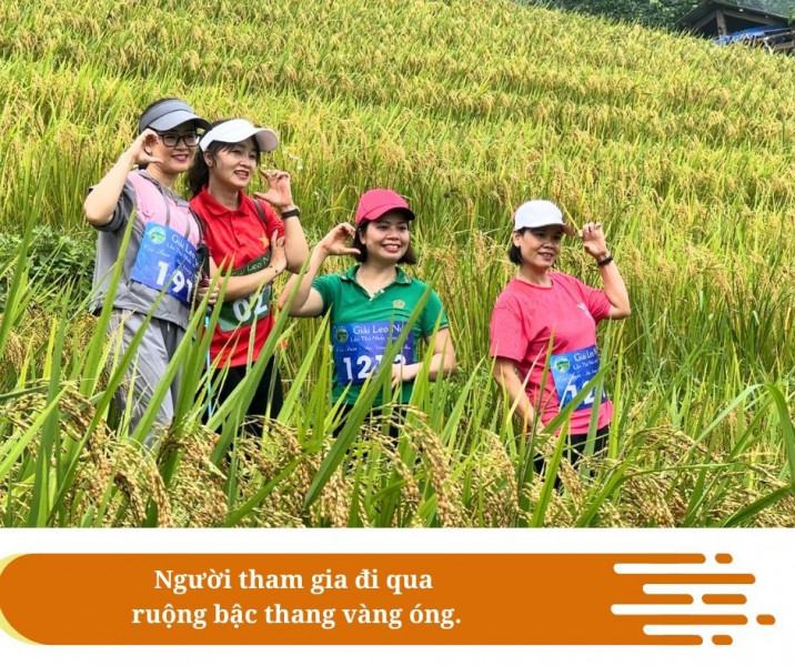 Tiềm năng phát triển du lịch trekking ở Cốc San - Lào Cai - Ảnh 5. Tiềm năng phát triển du lịch trekking ở Cốc San - Lào Cai - Ảnh 5.