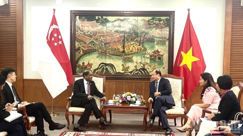 Thúc đẩy kết nối văn hóa và giao lưu nhân dân giữa Việt Nam-Singapore - Ảnh 1.