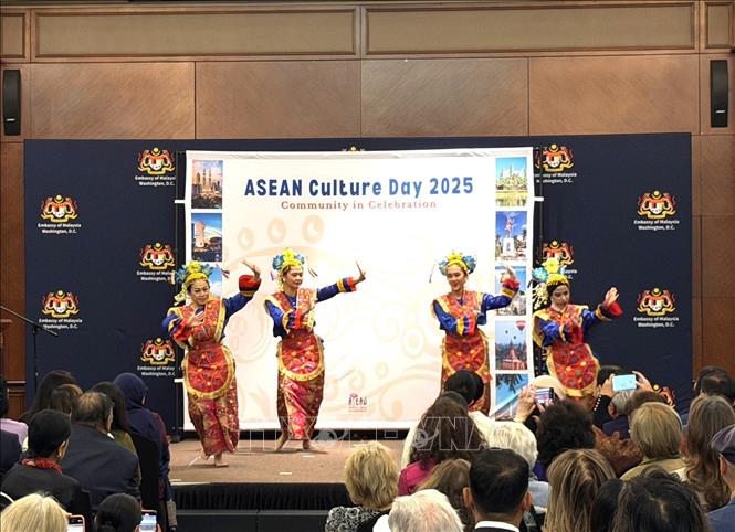 Ngày Văn hóa ASEAN 2025 - Cộng đồng cùng chung niềm vui lễ hội - Ảnh 4.