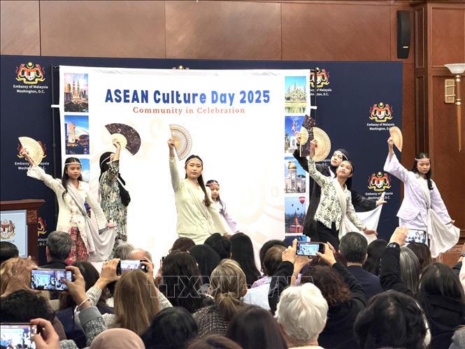 Ngày Văn hóa ASEAN 2025 - Cộng đồng cùng chung niềm vui lễ hội - Ảnh 6.