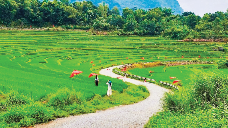 Điểm hẹn bốn mùa hương sắc xứ Thanh - Ảnh 1.