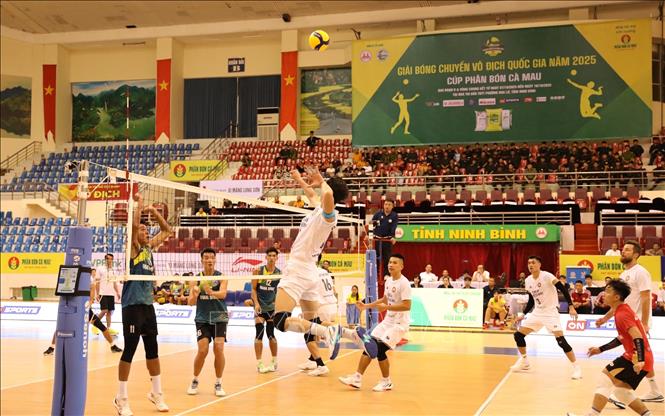 Khởi tranh giai đoạn 2 Giải Bóng chuyền vô địch quốc gia 2025 - Ảnh 1. Khởi tranh giai đoạn 2 Giải Bóng chuyền vô địch quốc gia 2025 - Ảnh 1.