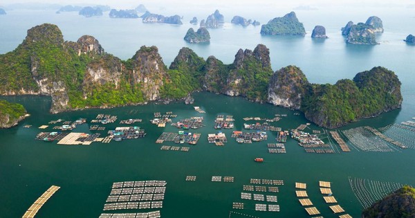 Kết nối văn hóa và kinh tế biến đảo- biến di sản thành tài sản xóa nghèo - Ảnh 1. Kết nối văn hóa và kinh tế biến đảo- biến di sản thành tài sản xóa nghèo - Ảnh 1.