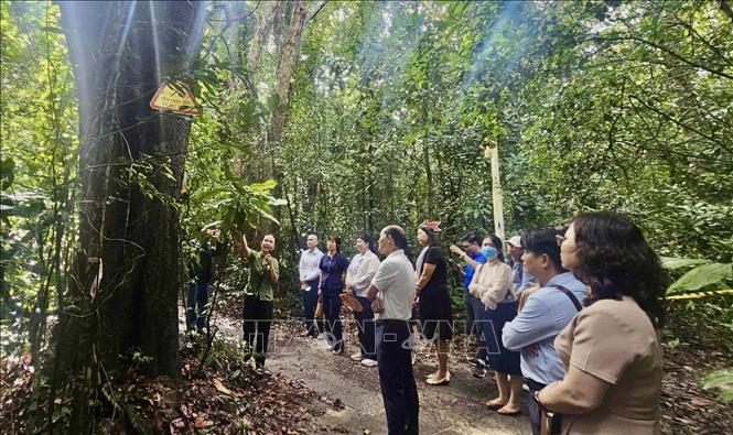 นครโฮจิมินห์: พัฒนารถโฮแทรมให้เป็นศูนย์กลางการท่องเที่ยวชายหาดระดับนานาชาติ - ภาพที่ 4 TP. HCM: Xây dựng Hồ Tràm thành trung tâm du lịch biển đẳng cấp quốc tế - Ảnh 4.