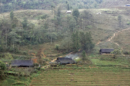 Rừng và dược liệu- đòn bẩy phát triển kinh tế vùng DTTS ở Bắc Kạn - Ảnh 2.