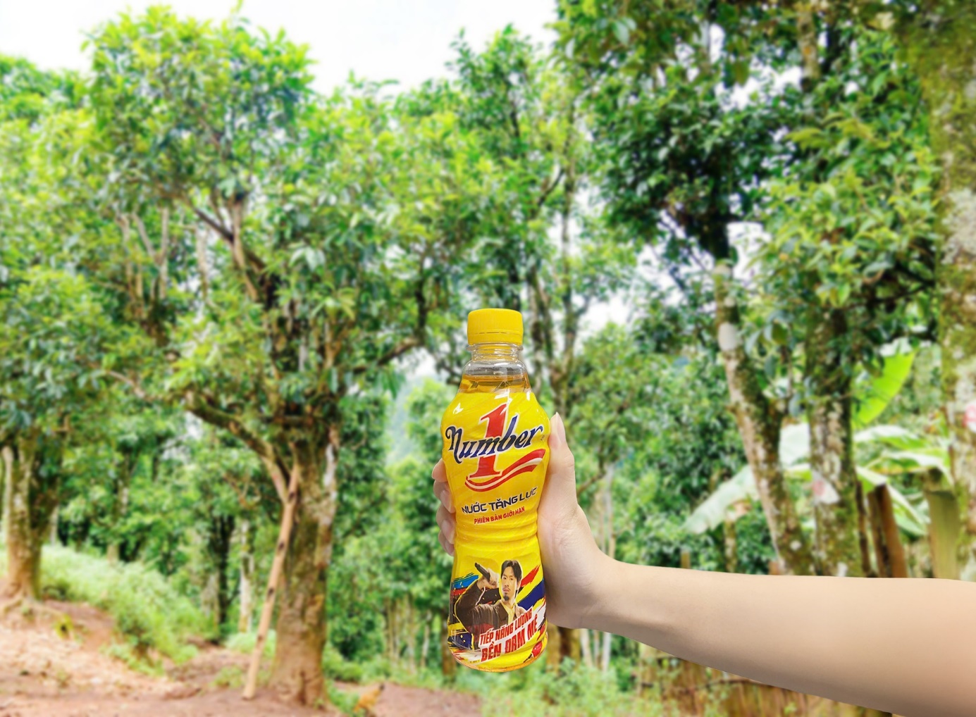 Cô gái 9X bền bỉ với ước mơ vươn tầm trà shan tuyết Việt Nam - Ảnh 2.