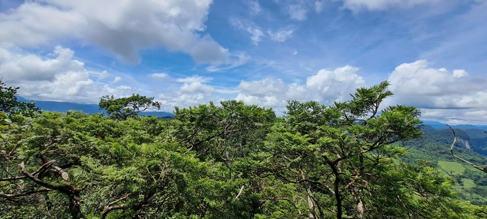 ແຂວງກວາງຈິ: ປັບປຸງແຫຼ່ງຊັບພະຍາກອນມະນຸດ, ເປີດກວ້າງກາລະໂອກາດພັດທະນາການທ່ອງທ່ຽວຂອງແຂວງ - ພາບ 1. Quảng Trị: Nâng tầm nguồn nhân lực, mở rộng cơ hội phát triển du lịch tỉnh - Ảnh 1.