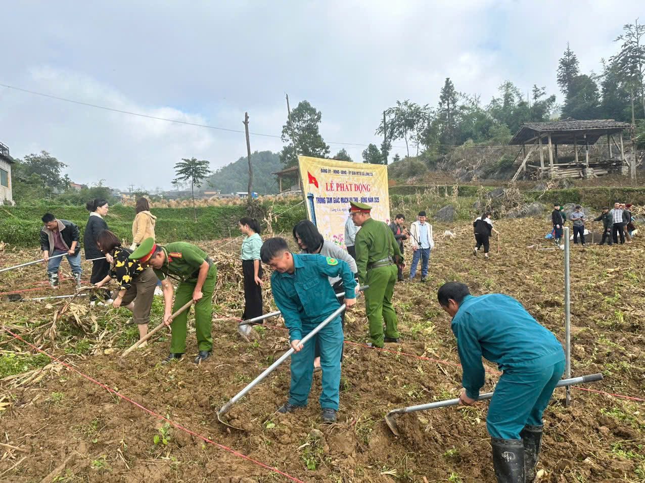 Lễ hội hoa Tam giác mạch lần thứ XI – “Miền đá nở hoa”: Tôn vinh vẻ đẹp thiên nhiên và văn hóa vùng cao - Ảnh 2. Lễ hội hoa Tam giác mạch lần thứ XI – “Miền đá nở hoa”: Tôn vinh vẻ đẹp thiên nhiên và văn hóa vùng cao - Ảnh 2.