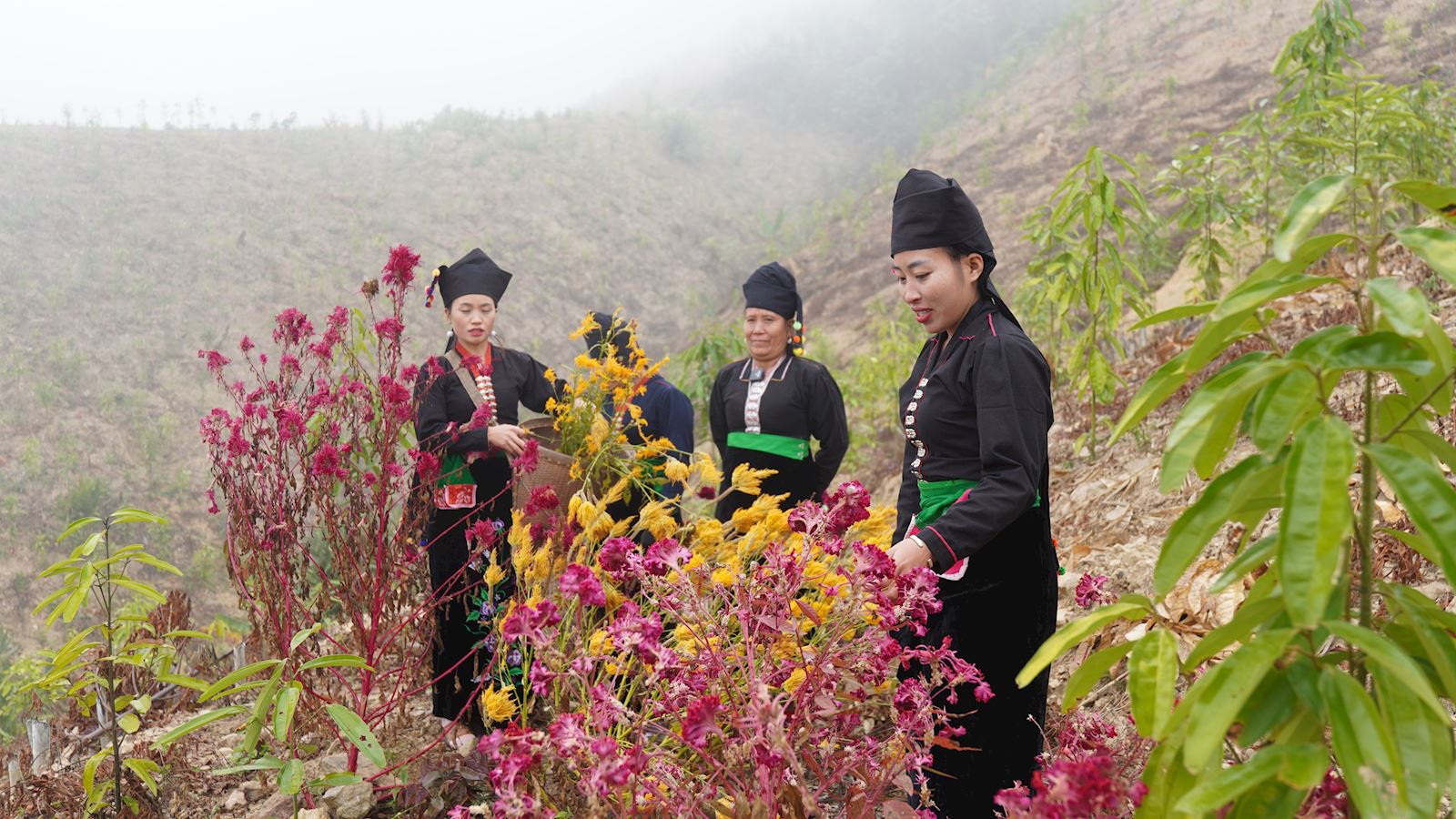 Độc đáo Lễ hội “Mìn Loóng Phạt” - Vẻ đẹp văn hóa người Cống ở Lai Châu - Ảnh 1. Độc đáo Lễ hội “Mìn Loóng Phạt” - Vẻ đẹp văn hóa người Cống ở Lai Châu - Ảnh 1.