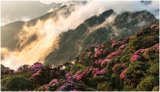 Lai Châu sẵn sàng cho Tuần Du lịch - Văn hóa và Giải Marathon 2025 - Ảnh 1.