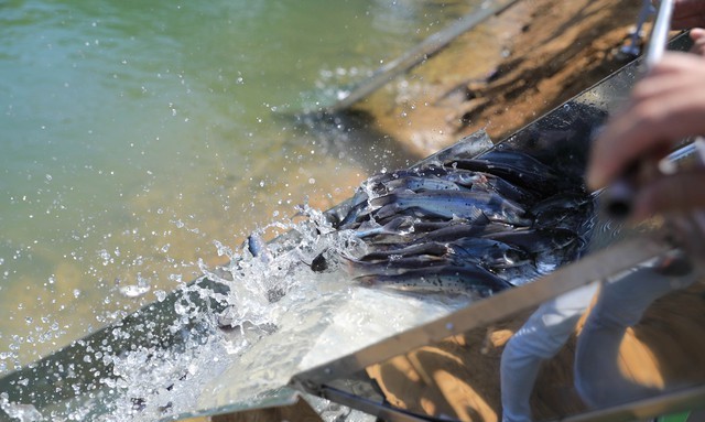 Khơi dậy ý chí thoát nghèo từ mỗi cộng đồng: Hành trình lan tỏa những đổi thay bền vững - Ảnh 1.