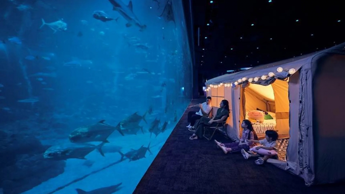 Singapore thu hút du khách với chuỗi sự kiện, lễ hội dịp cuối năm - Ảnh 4.