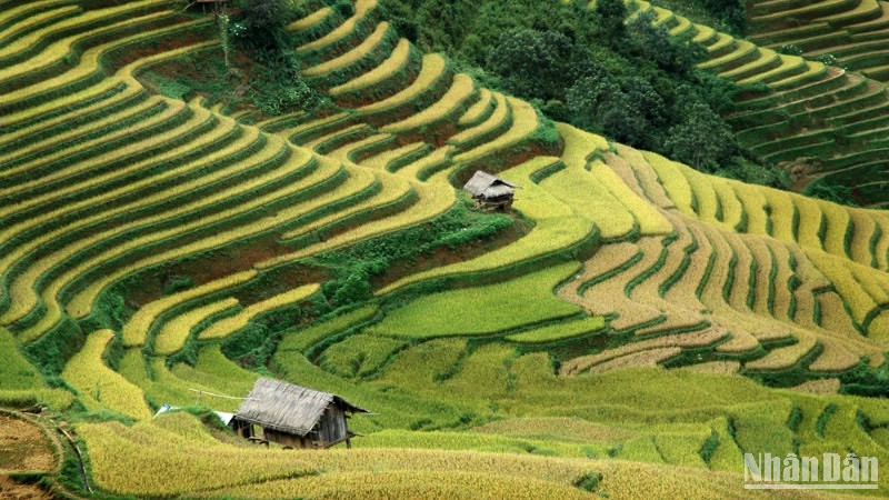 Xây dựng chiến lược tổng thể cho thương hiệu du lịch văn hóa dân tộc thiểu số - Ảnh 1.