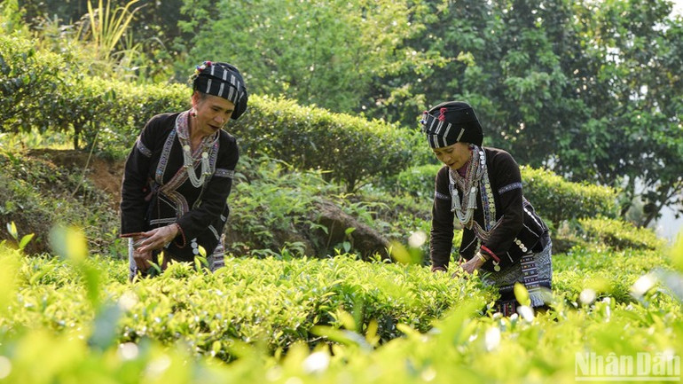 Xây dựng chiến lược tổng thể cho thương hiệu du lịch văn hóa dân tộc thiểu số - Ảnh 3.