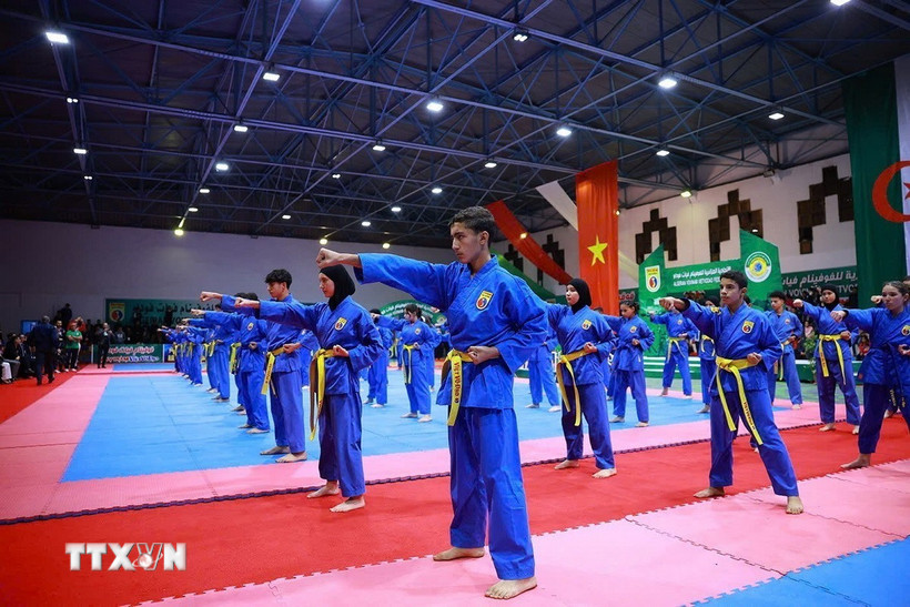 ក្បាច់គុនវៀតណាមរីករាលដាលខ្លាំងនៅតំបន់ Brittany នៃប្រទេសបារាំង - រូបថត ១. Võ thuật Việt Nam lan tỏa mạnh mẽ tại vùng Bretagne của Pháp - Ảnh 1.