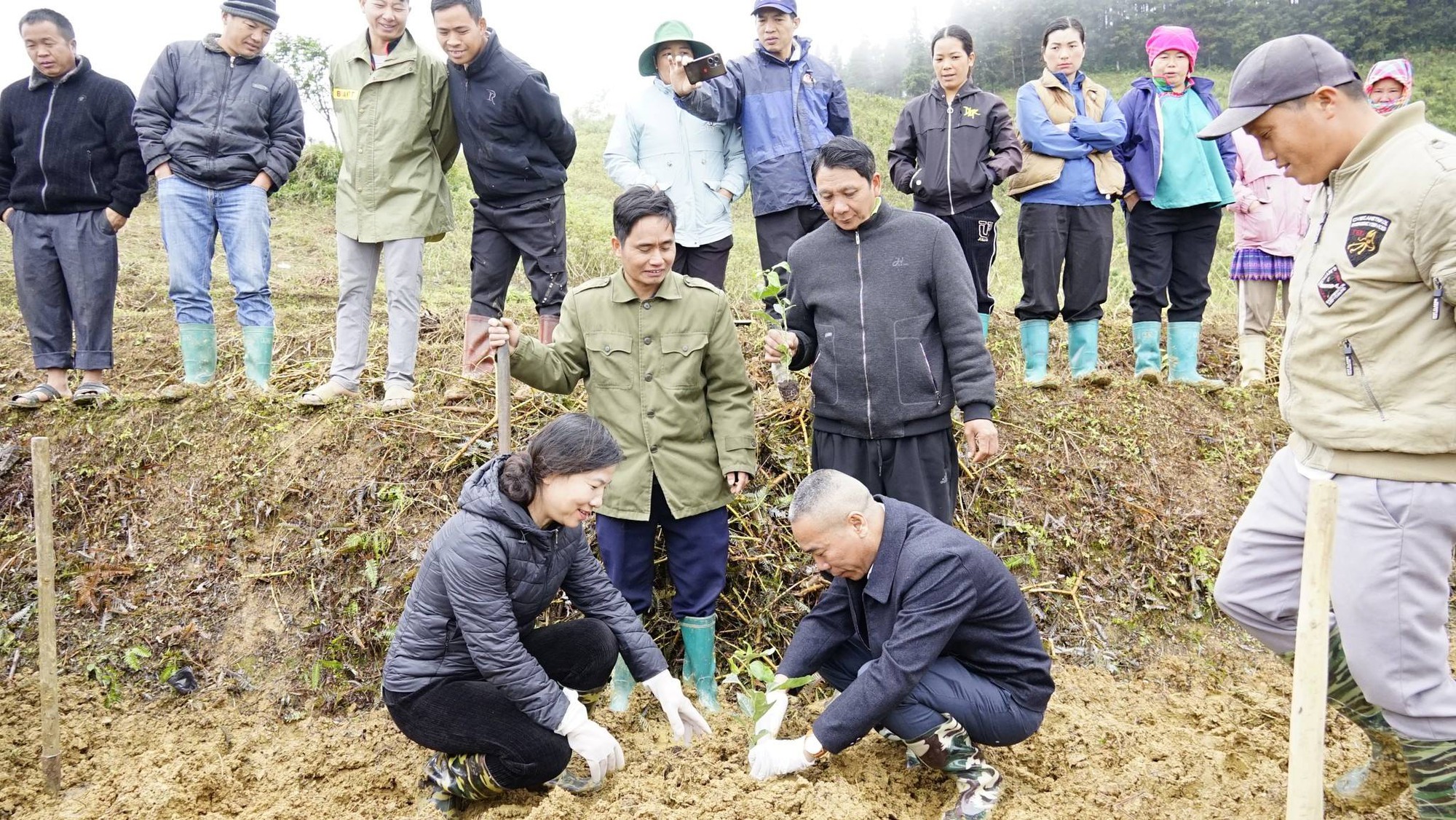 Lao Cai: Bac Ha-kommunen startar plantering av gul passionsfrukt, vilket öppnar upp en riktning för hållbar ekonomisk utveckling för människor i höglandet - Foto 2. Lào Cai: Xã Bắc Hà phát động trồng cây chanh leo vàng, mở hướng phát triển kinh tế bền vững cho người dân vùng cao - Ảnh 2.