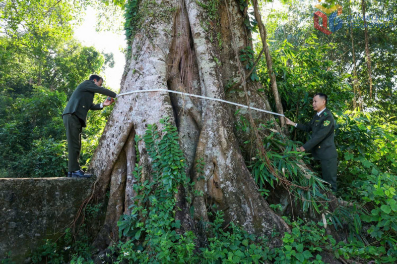 Lan tỏa giá trị di sản - Bồi đắp bản sắc văn hóa Quảng Ninh - Ảnh 2.