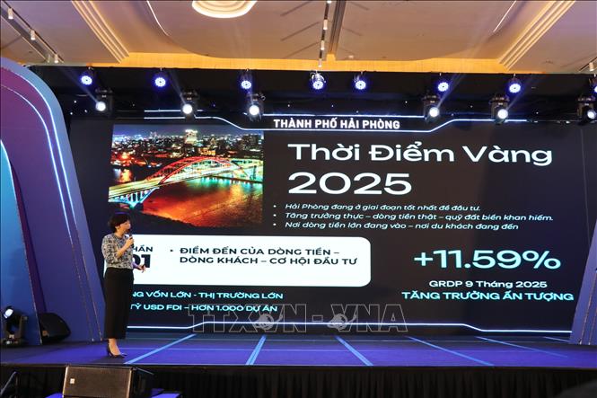 Những giá trị nổi bật đưa du lịch Hải Phòng trở thành điểm đến bốn mùa - Ảnh 2.