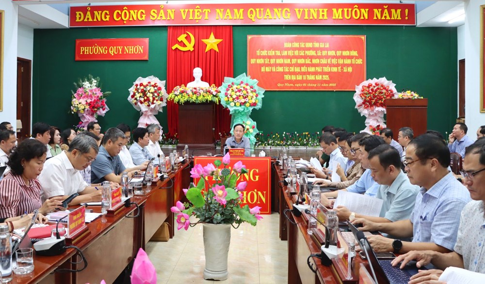 Cơ hội nâng tầm thương hiệu Quy Nhơn trên bản đồ du lịch thế giới - Ảnh 2.