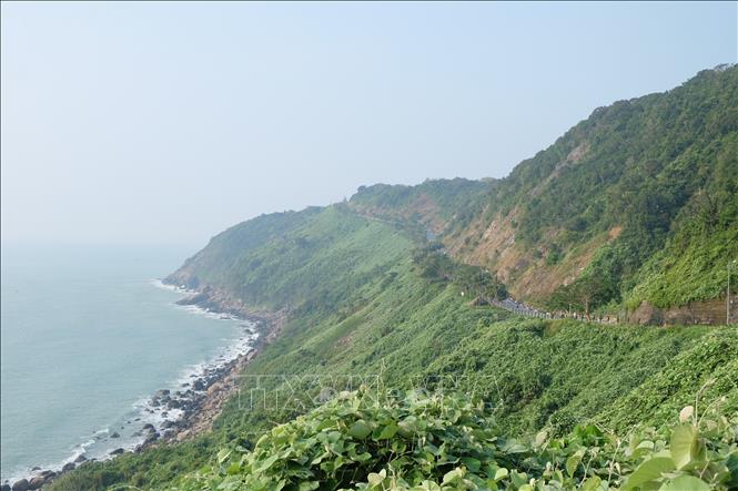 Đà Nẵng: Tiếp tục tạm dừng tham quan bán đảo Sơn Trà để đảm bảo an toàn - Ảnh 1.