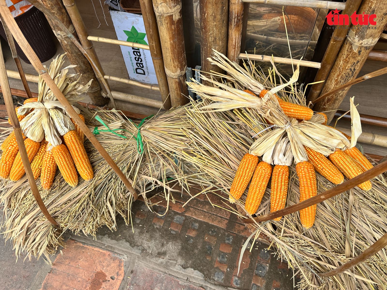 Trải nghiệm các không gian văn hoá tại Festival Thăng Long - Hà Nội 2025 - Ảnh 6. Trải nghiệm các không gian văn hoá tại Festival Thăng Long - Hà Nội 2025 - Ảnh 6.