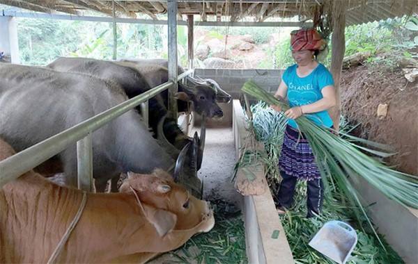 Đẩy mạnh các dự án phát triển sản xuất, thương mại, dịch vụ, du lịch cộng đồng để giảm nghèo bền vững - Ảnh 1.