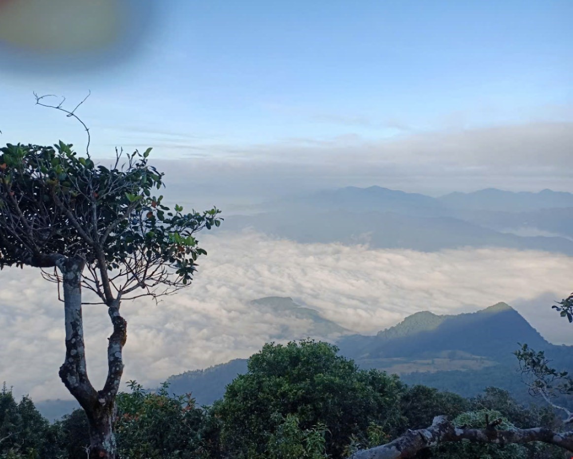 Thanh Hoa: Rozwijanie potencjału ekoturystyki w lesie specjalnego przeznaczenia Pu Luong - zdjęcie 5. Thanh Hóa: Đánh thức tiềm năng du lịch sinh thái rừng đặc dụng Pù Luông - Ảnh 5.