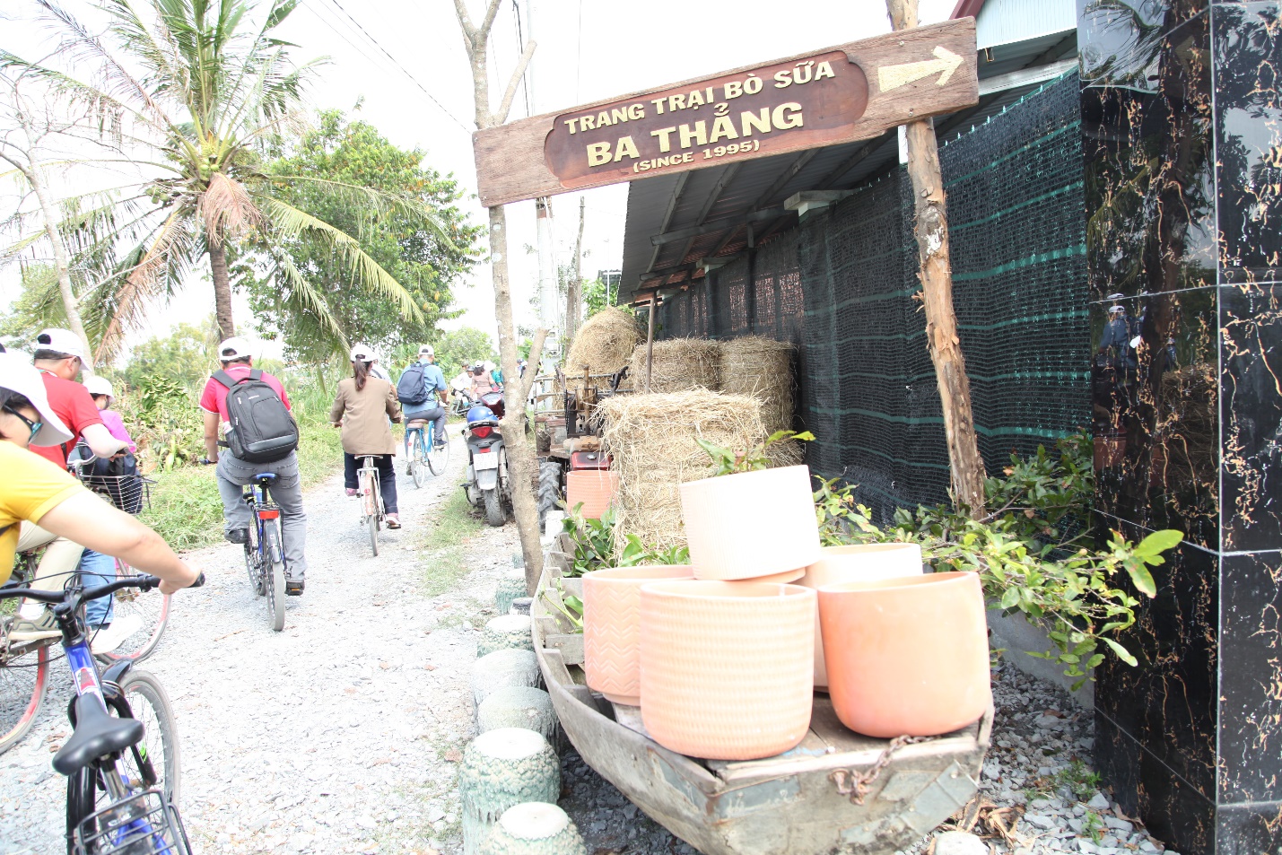 Vietnams nasjonale turistadministrasjon gjennomførte en undersøkelse om utviklingen av landbruks- og bygdeturisme i Mekongdelta-provinsene - Foto 5. Cục Du lịch Quốc gia Việt Nam tổ chức khảo sát phát triển du lịch nông nghiệp - nông thôn tại các tỉnh Đồng bằng sông Cửu Long - Ảnh 5.