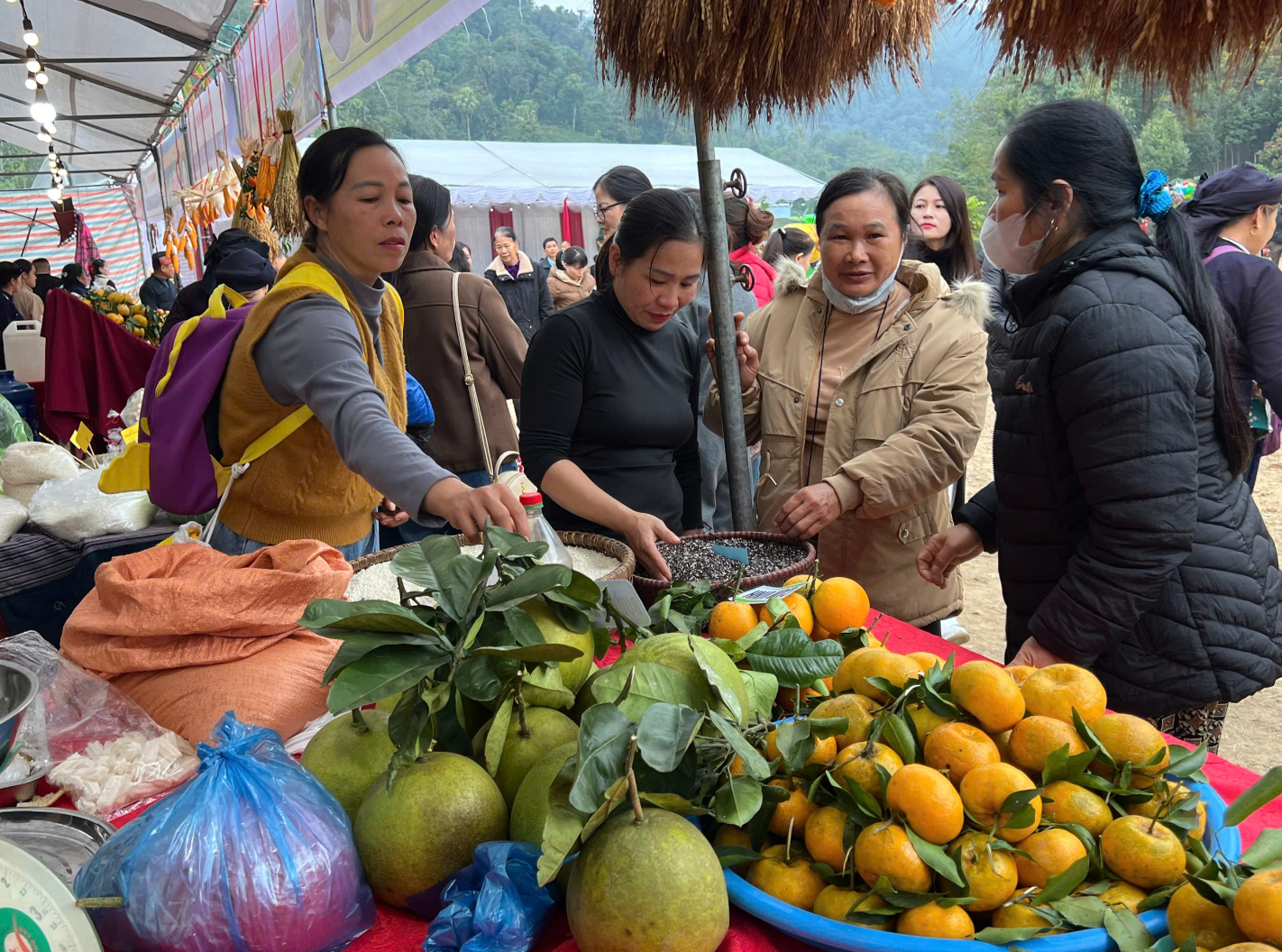 ألوان جديدة في المشهد السياحي لتاي نغوين - الصورة 6. Những gam màu mới trong bức tranh du lịch Thái Nguyên - Ảnh 6.